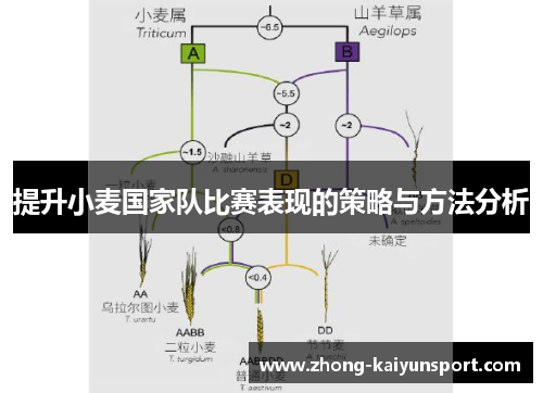 提升小麦国家队比赛表现的策略与方法分析 提升小麦国家队比赛表现的策略与方法分析
