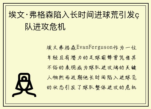 埃文·弗格森陷入长时间进球荒引发球队进攻危机 埃文·弗格森陷入长时间进球荒引发球队进攻危机